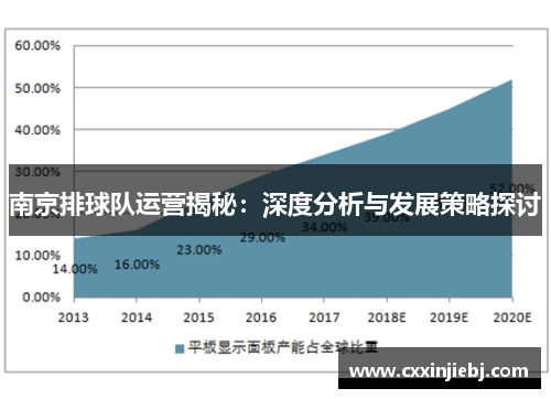 南京排球队运营揭秘：深度分析与发展策略探讨