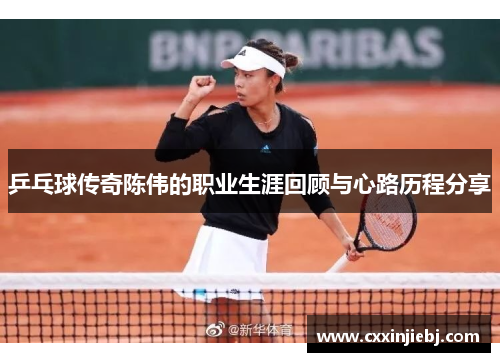乒乓球传奇陈伟的职业生涯回顾与心路历程分享