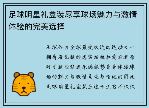 足球明星礼盒装尽享球场魅力与激情体验的完美选择